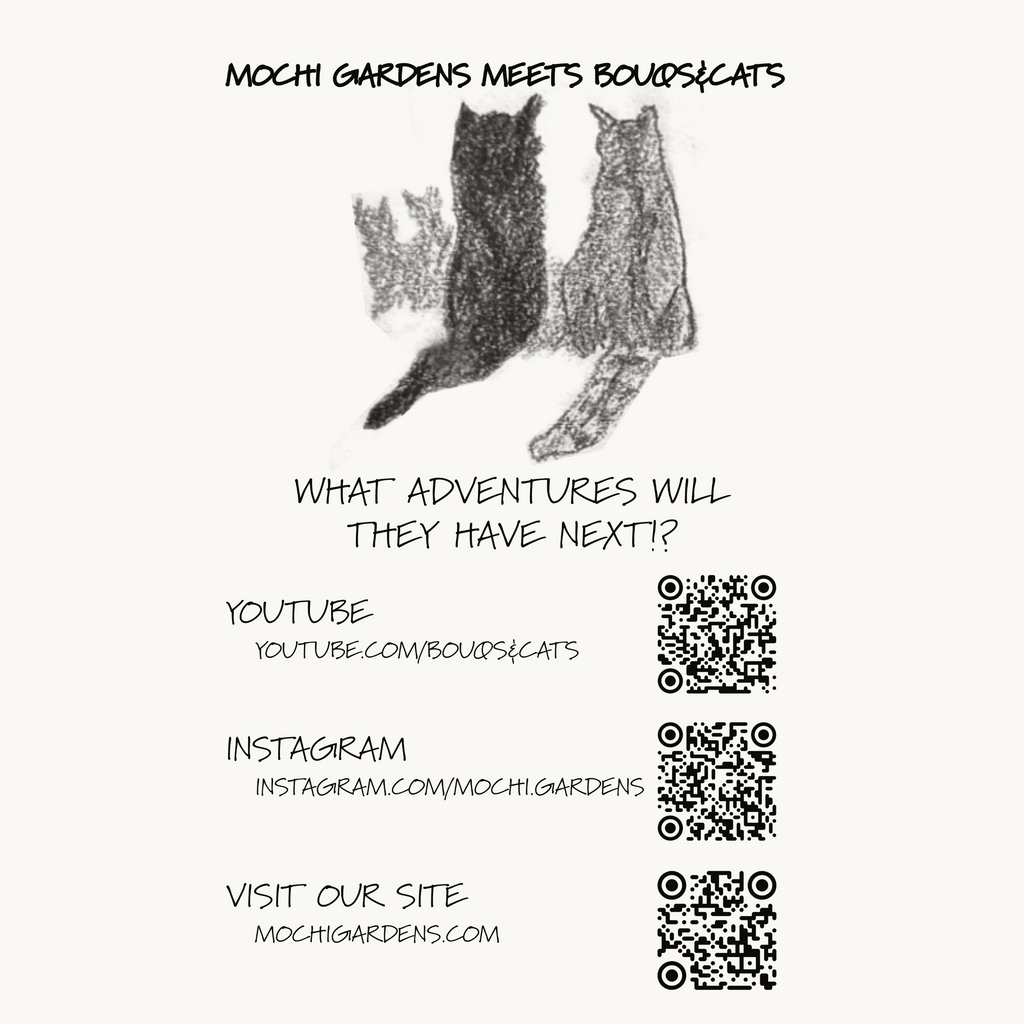 The Mochi Gardens Story (PDF)