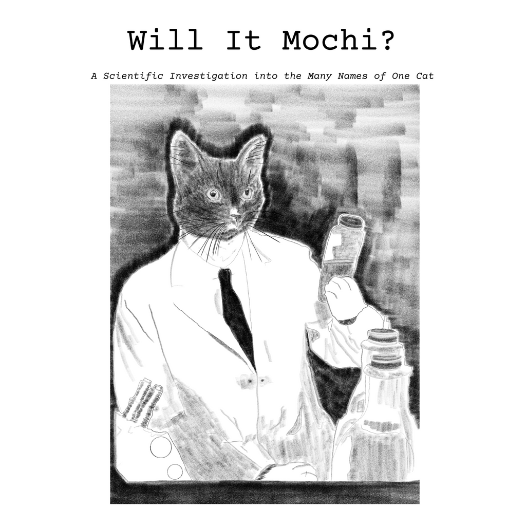Will It Mochi Zine (Physical Copy)
