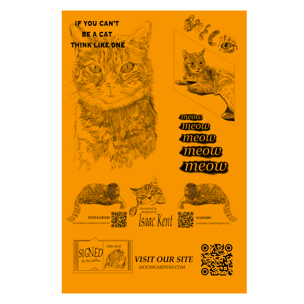 Orange - Tabby Cat Zine (PDF)