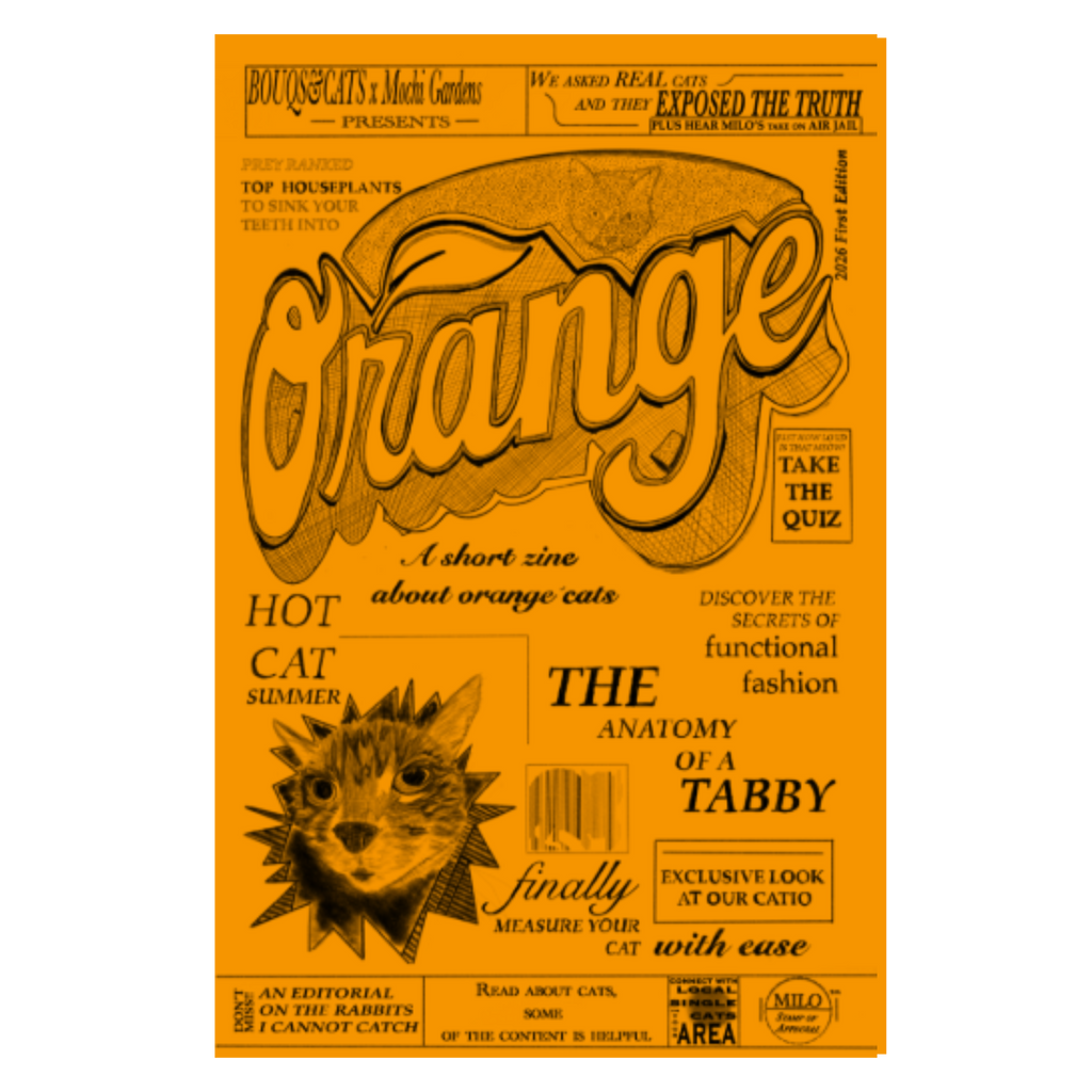 Orange - Tabby Cat Zine (PDF)