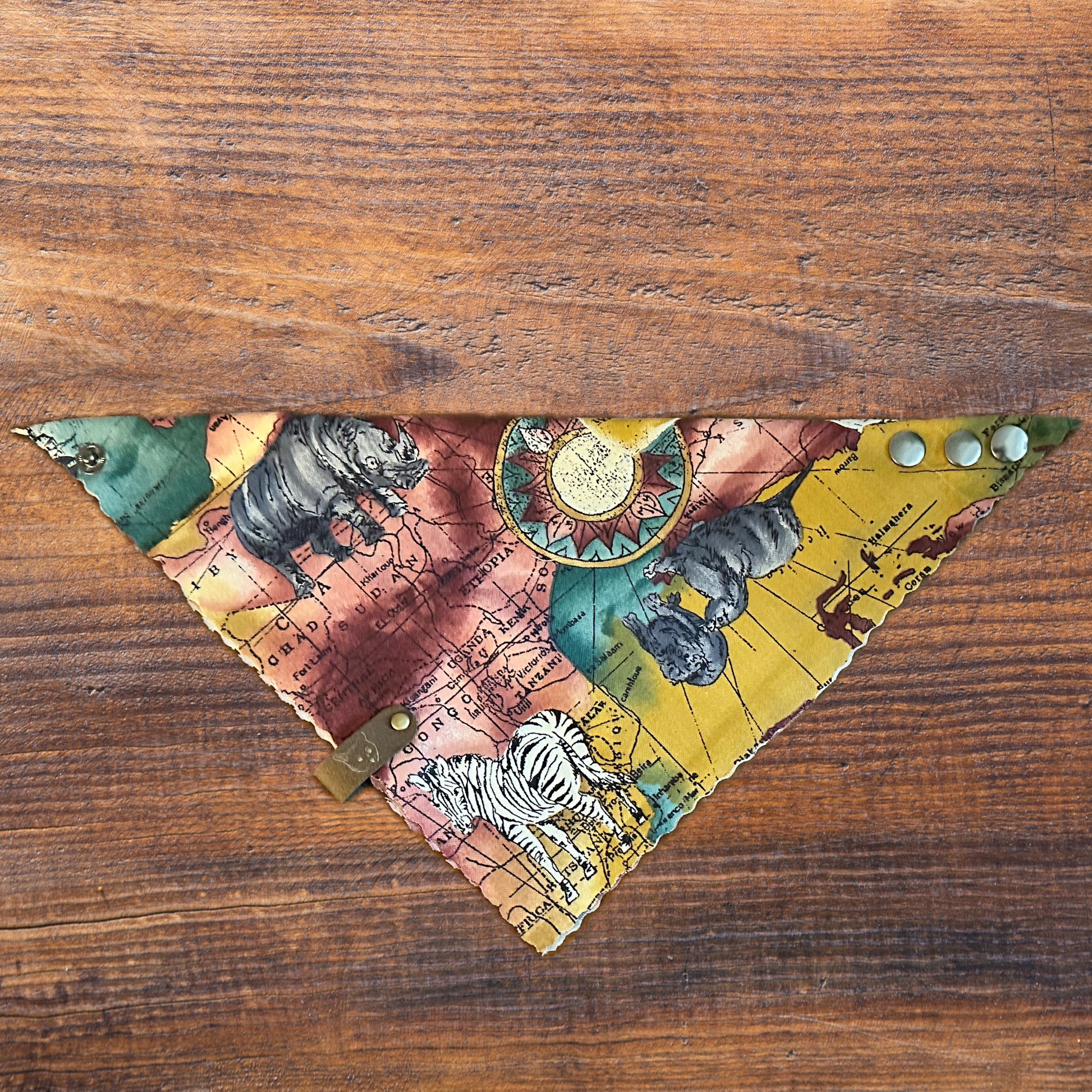 "Catitude/Longitude" Cat-Ker-Chief Cat Bandana