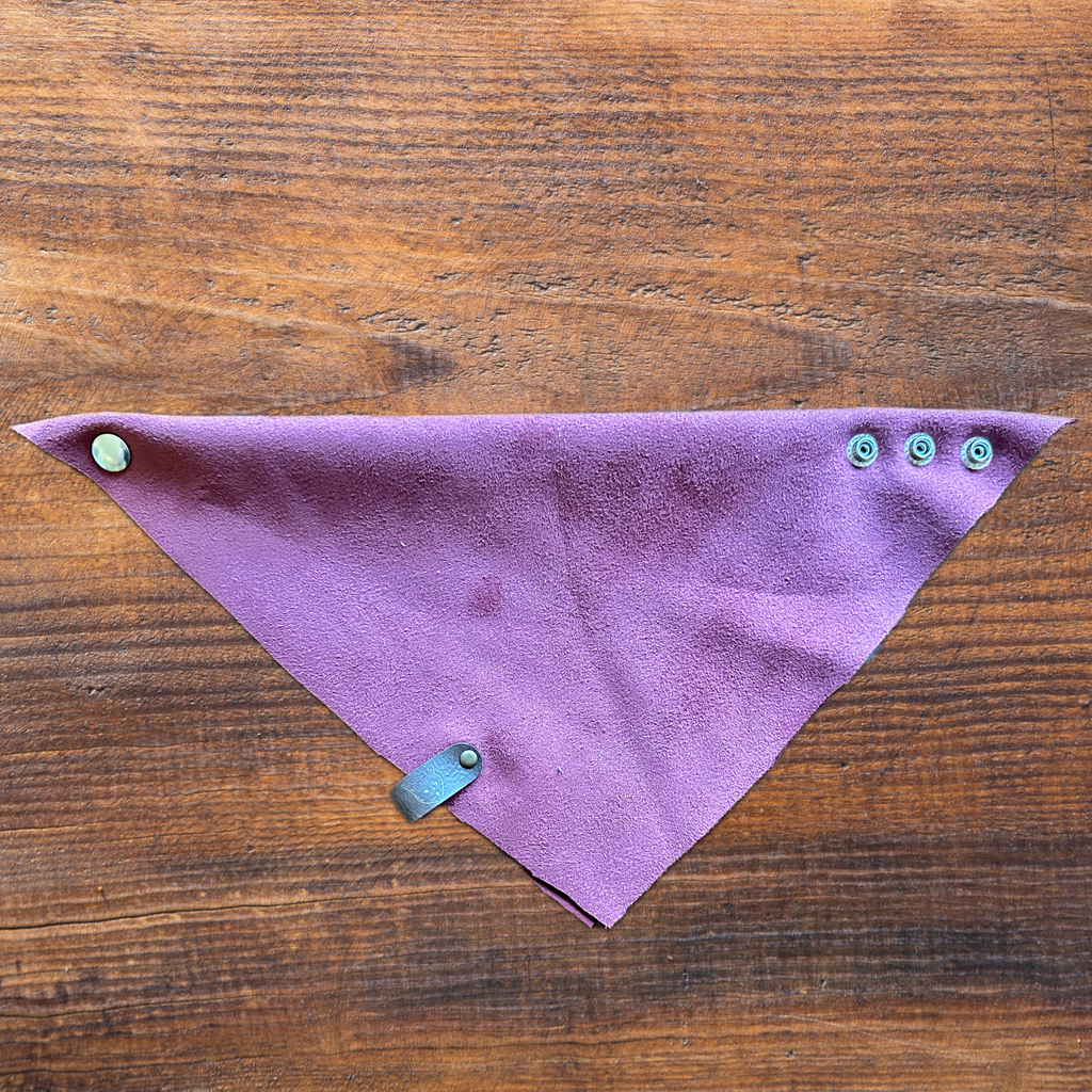 "Runescape Vibes" Cat-Ker-Chief Cat Bandana