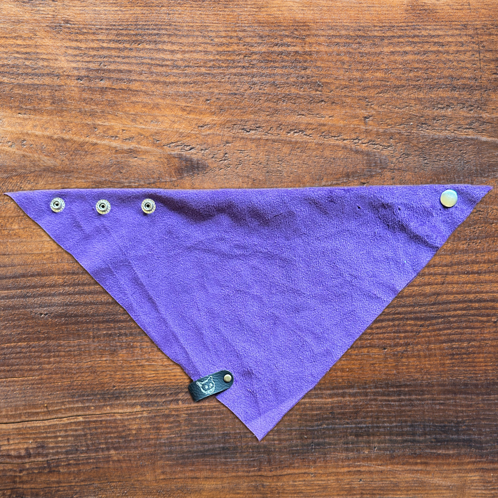 "Plum Valour" Cat-Ker-Chief Cat Bandana