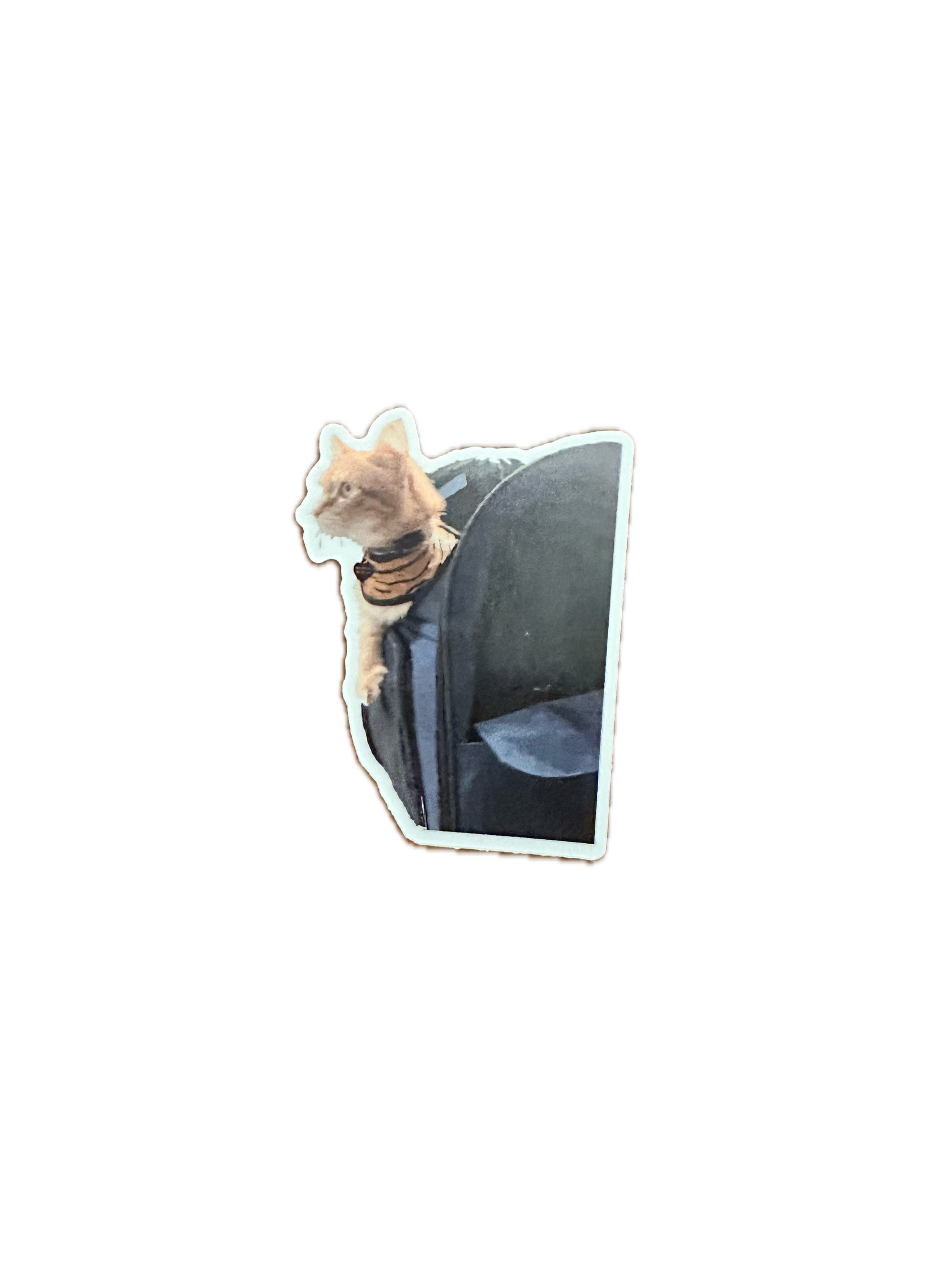 Copilot Backpack Kitty 2.5" Sticker
